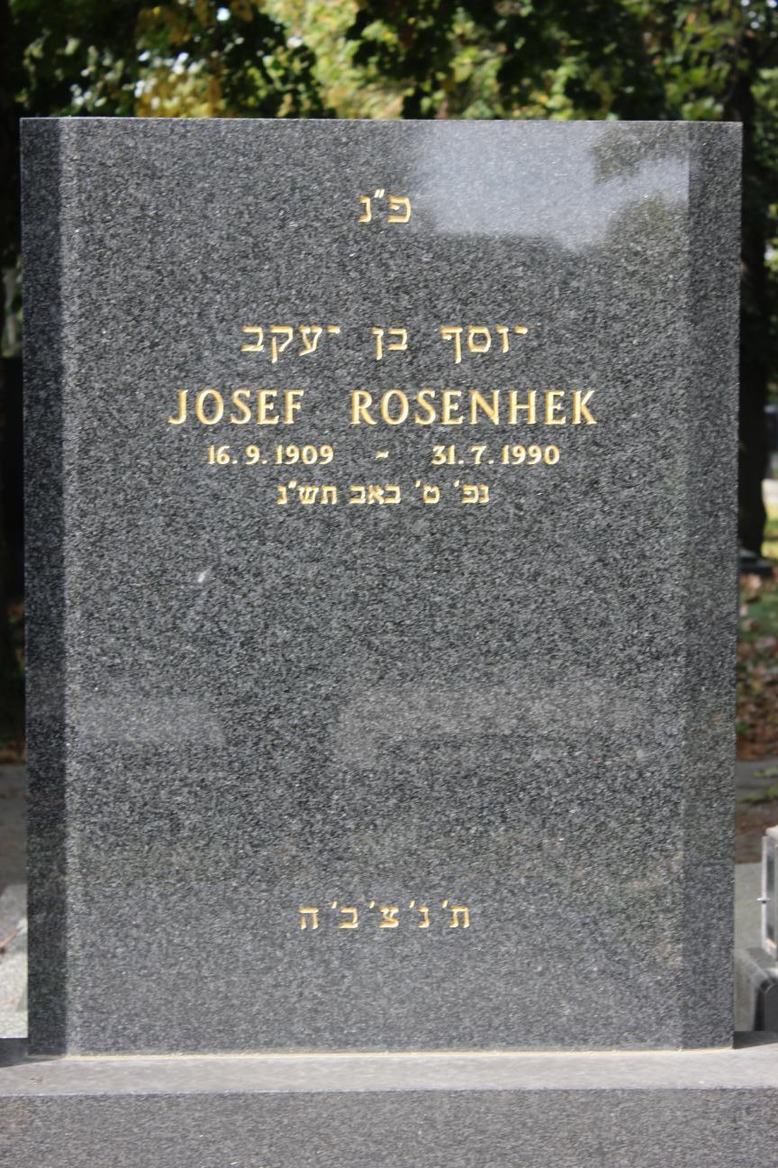 Josef_Rosenheck_15