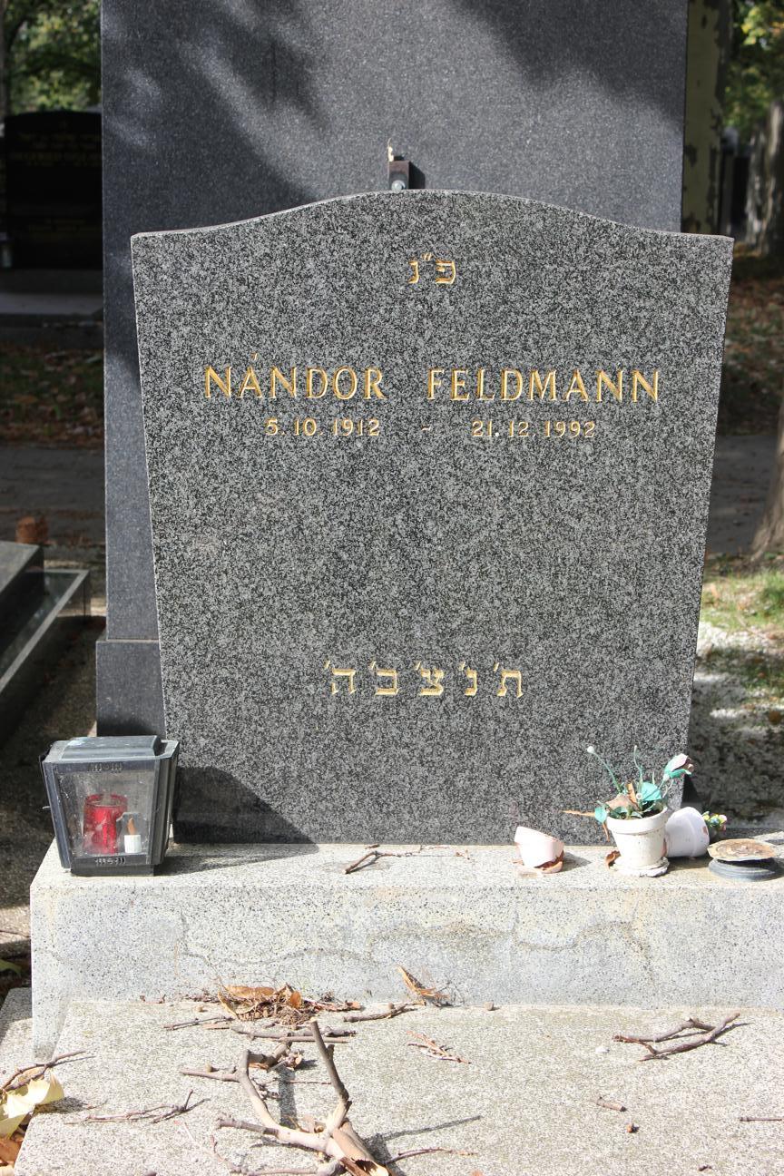 Nandor_Feldmann_9